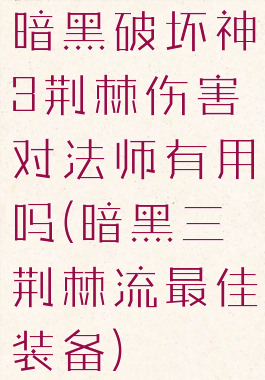 暗黑破坏神3荆棘伤害对法师有用吗(暗黑三荆棘流最佳装备)