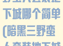 暗黑破坏神3野蛮人套装地下城哪个简单(暗黑三野蛮人套装地下城哪个最简单)