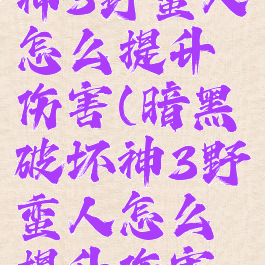 暗黑破坏神3野蛮人怎么提升伤害(暗黑破坏神3野蛮人怎么提升伤害的)