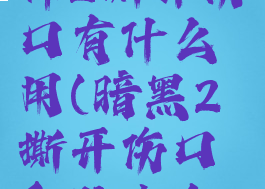 暗黑破坏神2撕开伤口有什么用(暗黑2撕开伤口和防止自疗)