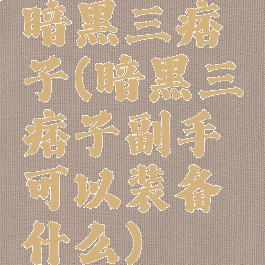 暗黑三痞子(暗黑三痞子副手可以装备什么)