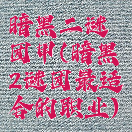 暗黑二谜团甲(暗黑2谜团最适合的职业)