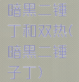 暗黑二锤丁和双热(暗黑二锤子丁)