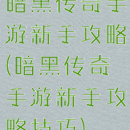 暗黑传奇手游新手攻略(暗黑传奇手游新手攻略技巧)