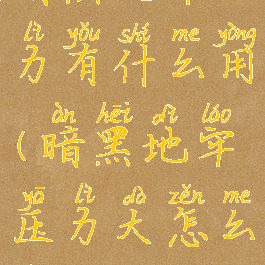 暗黑地牢压力有什么用(暗黑地牢压力大怎么办)