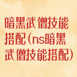 暗黑武僧技能搭配(ns暗黑武僧技能搭配)