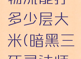 暗黑3死灵法师宠物流能打多少层大米(暗黑三死灵法师带什么随从)