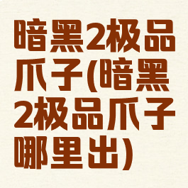 暗黑2极品爪子(暗黑2极品爪子哪里出)