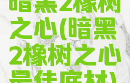 暗黑2橡树之心(暗黑2橡树之心最佳底材)