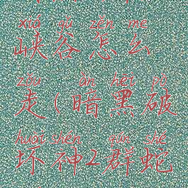 暗黑2群蛇峡谷怎么走(暗黑破坏神2群蛇峡谷)