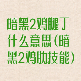 暗黑2鸡腿丁什么意思(暗黑2鸡肋技能)