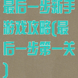 最后一步新手游戏攻略(最后一步第一关)