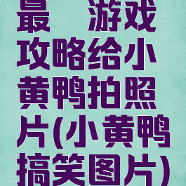 最囧游戏攻略给小黄鸭拍照片(小黄鸭搞笑图片)
