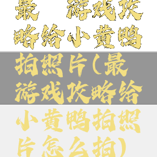 最囧游戏攻略给小黄鸭拍照片(最囧游戏攻略给小黄鸭拍照片怎么拍)