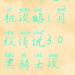 月纹传说单机攻略(月纹传说3.0黑骑士攻略)
