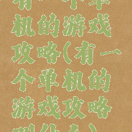 有一个单机的游戏攻略(有一个单机的游戏攻略叫什么)