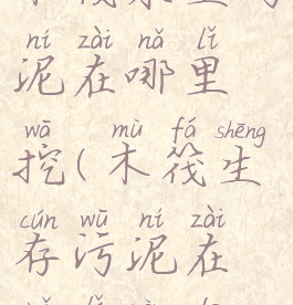 木筏求生污泥在哪里挖(木筏生存污泥在哪里弄的)