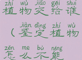 未鉴定过的植物交给谁(鉴定植物怎么不能交了)