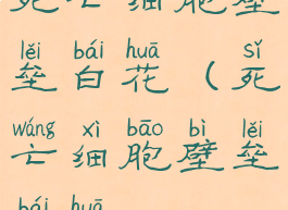 死亡细胞壁垒白花(死亡细胞壁垒白花)