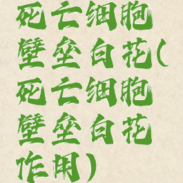 死亡细胞壁垒白花(死亡细胞壁垒白花作用)