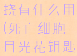 死亡细胞挠挠有什么用(死亡细胞月光花钥匙有什么用)