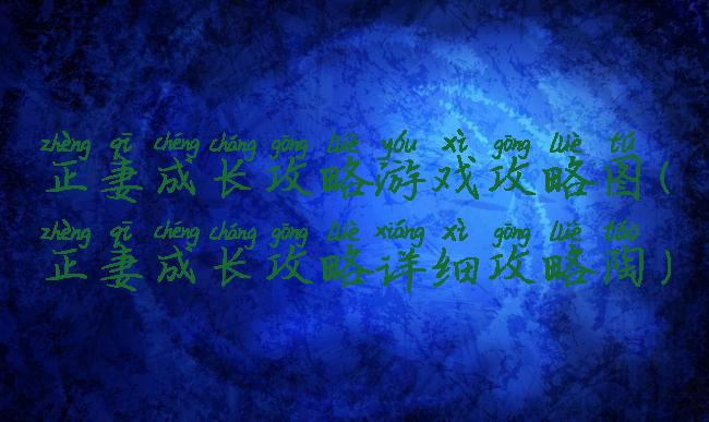 正妻成长攻略游戏攻略图(正妻成长攻略详细攻略陶)