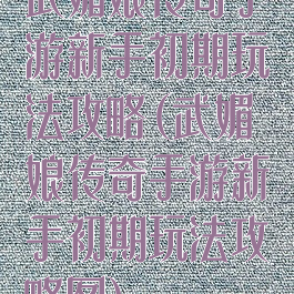 武媚娘传奇手游新手初期玩法攻略(武媚娘传奇手游新手初期玩法攻略图)