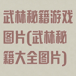 武林秘籍游戏图片(武林秘籍大全图片)