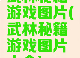 武林秘籍游戏图片(武林秘籍游戏图片大全)
