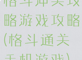 格斗冲突攻略游戏攻略(格斗通关手机游戏)