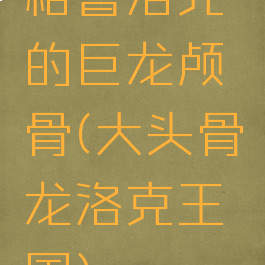 格鲁洛克的巨龙颅骨(大头骨龙洛克王国)