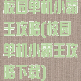 校园单机小霸王攻略(校园单机小霸王攻略下载)