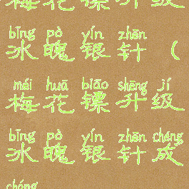 梅花镖升级冰魄银针(梅花镖升级冰魄银针成长)