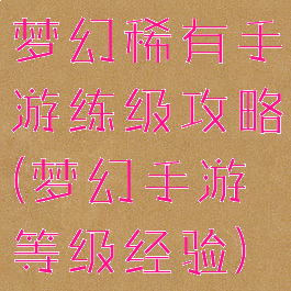 梦幻稀有手游练级攻略(梦幻手游等级经验)