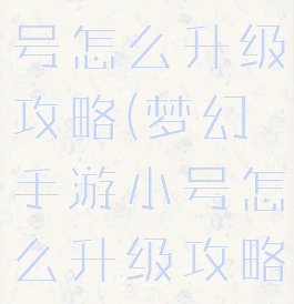 梦幻手游小号怎么升级攻略(梦幻手游小号怎么升级攻略大全)