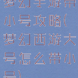 梦幻手游带小号攻略(梦幻西游大号怎么带小号)