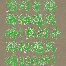梦幻手游新秘境攻略(梦幻手游秘境攻略800秒)