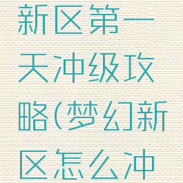 梦幻手游新区第一天冲级攻略(梦幻新区怎么冲级)