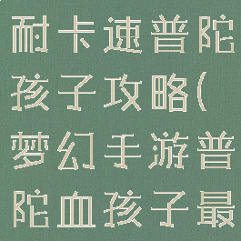梦幻手游血耐卡速普陀孩子攻略(梦幻手游普陀血孩子最佳加点)