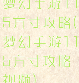 梦幻手游115方寸攻略(梦幻手游115方寸攻略视频)