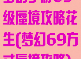 梦幻手游69级蜃境攻略花生(梦幻69方寸蜃境攻略)