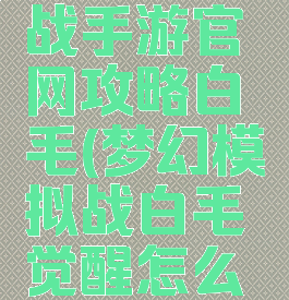 梦幻模拟战手游官网攻略白毛(梦幻模拟战白毛觉醒怎么打)