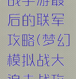 梦幻模拟战手游最后的联军攻略(梦幻模拟战大追击战攻略)