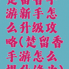 楚留香手游新手怎么升级攻略(楚留香手游怎么提升修为)