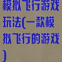模拟飞行游戏玩法(一款模拟飞行的游戏)