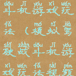 模拟驾驶战斗机游戏玩法(模拟驾驶战斗机游戏玩法视频)