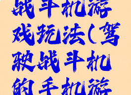 模拟驾驶战斗机游戏玩法(驾驶战斗机的手机游戏)