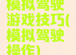模拟驾驶游戏技巧(模拟驾驶操作)