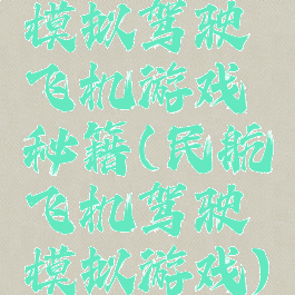 模拟驾驶飞机游戏秘籍(民航飞机驾驶模拟游戏)