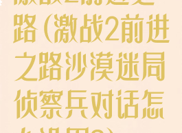 激战2前进之路(激战2前进之路沙漠迷局侦察兵对话怎么没用?)